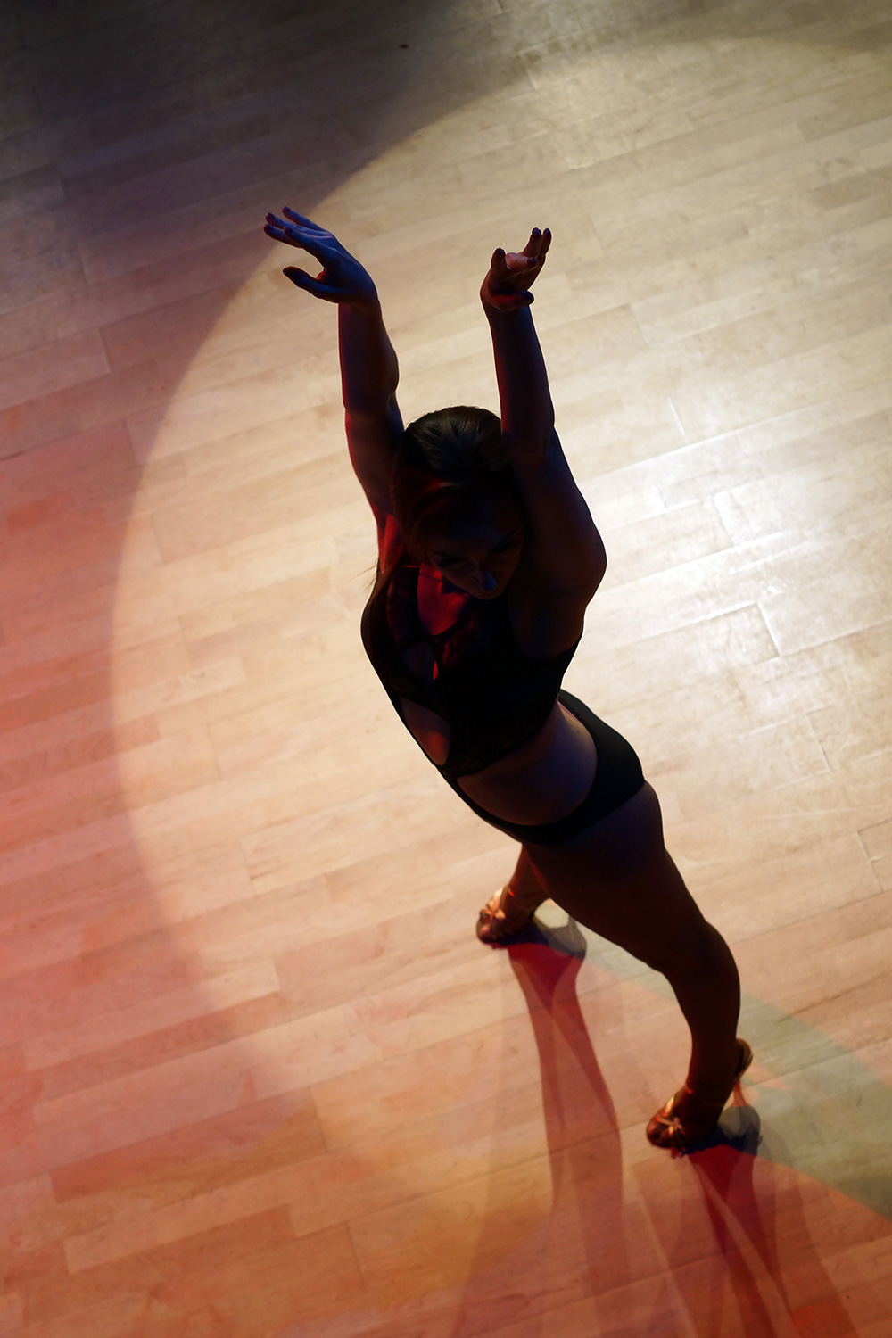 Female dancer black silhouette