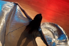 Female dancer in black costume with gold wings